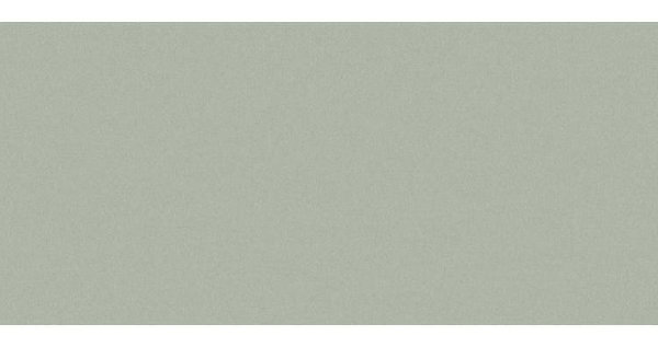 Сайдинг CEDRAL smooth (гладкий) С06 купить в Каменск-Шахтинском